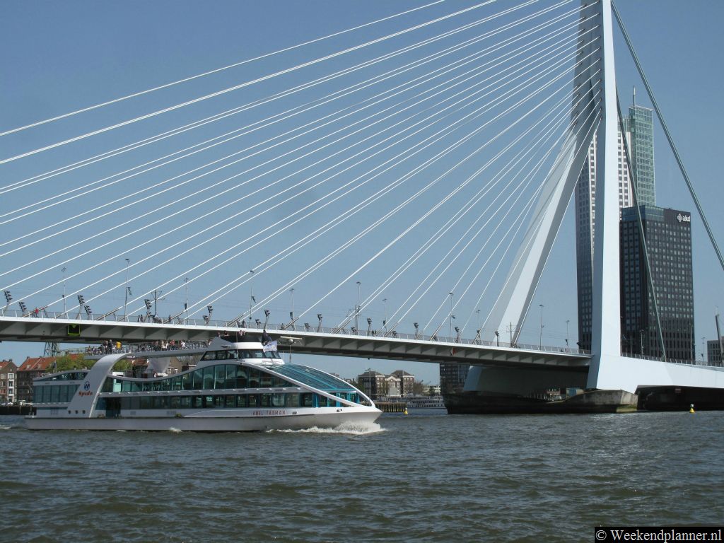 De rondvaartboot van Spido vaart onder de Erasmusbrug door. De aanlegsteiger ligt naast de brug aan het Willemsplein. De Waterbus heeft een aanlegplaats naast de Spido. Parkeren kun je in de Erasmusgarage aan de Gedempte Zalmhaven,Tip: De veerboot tussen Rotterdam en Dordrecht.
